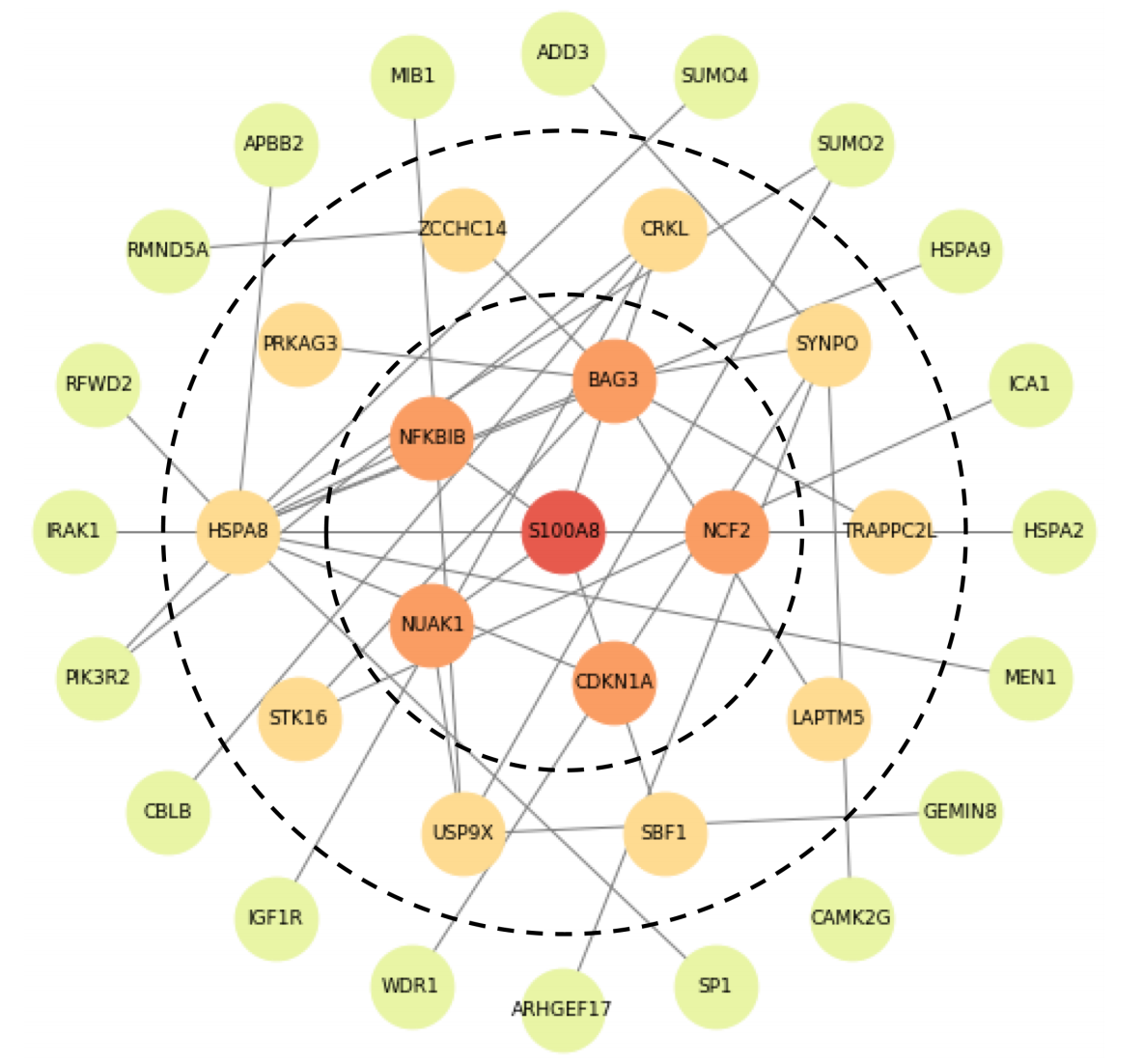 Screen Shot 2019-03-04 at 11.16.57 AM.png